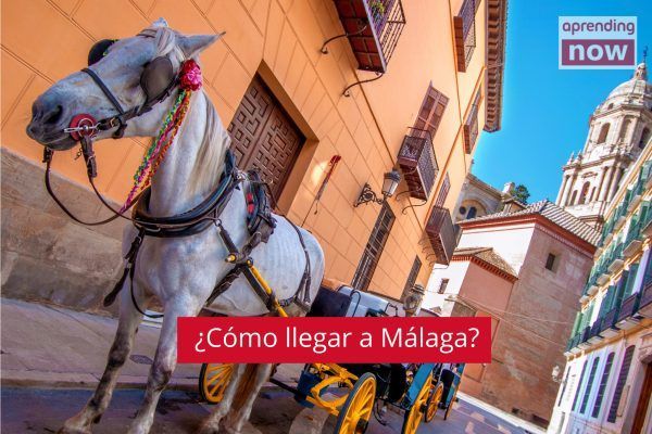 llegar a malaga