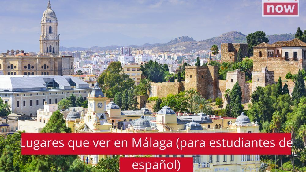 estudiantes español turismo malaga