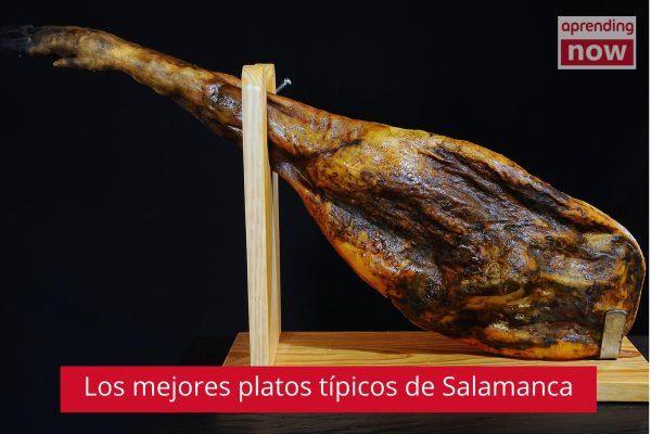 platos tipicos salamanca
